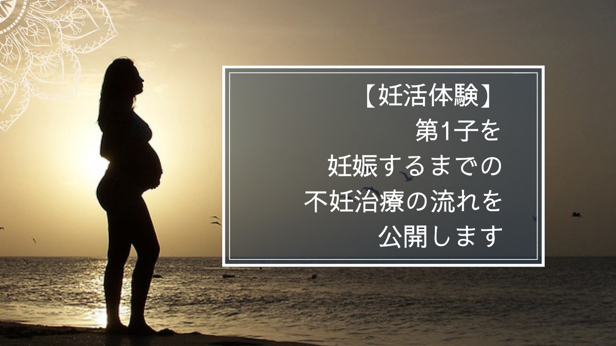 【不妊治療の流れ】最初の検査と費用を公開します！