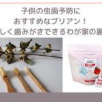 ブリアン歯磨き粉の使い方。子供の虫歯予防におすすめ！楽しく歯磨きできるわが家の裏技
