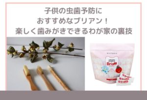 ブリアン歯磨き粉の使い方。子供の虫歯予防におすすめ！楽しく歯磨きできるわが家の裏技