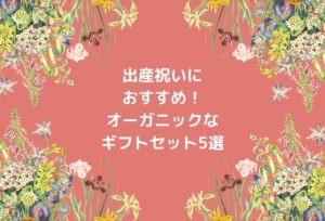 出産祝い5000円〜8000円の予算で贈れるギフトセットおすすめの5選を紹介します