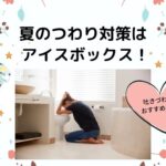夏のつわり対策にはアイスボックスがおすすめ!吐きづわりで水分も取れない妊婦さん必見