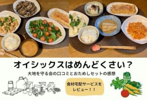 大地を守る会のお試しセットはもったいない?口コミと実際に試した感想をレポート